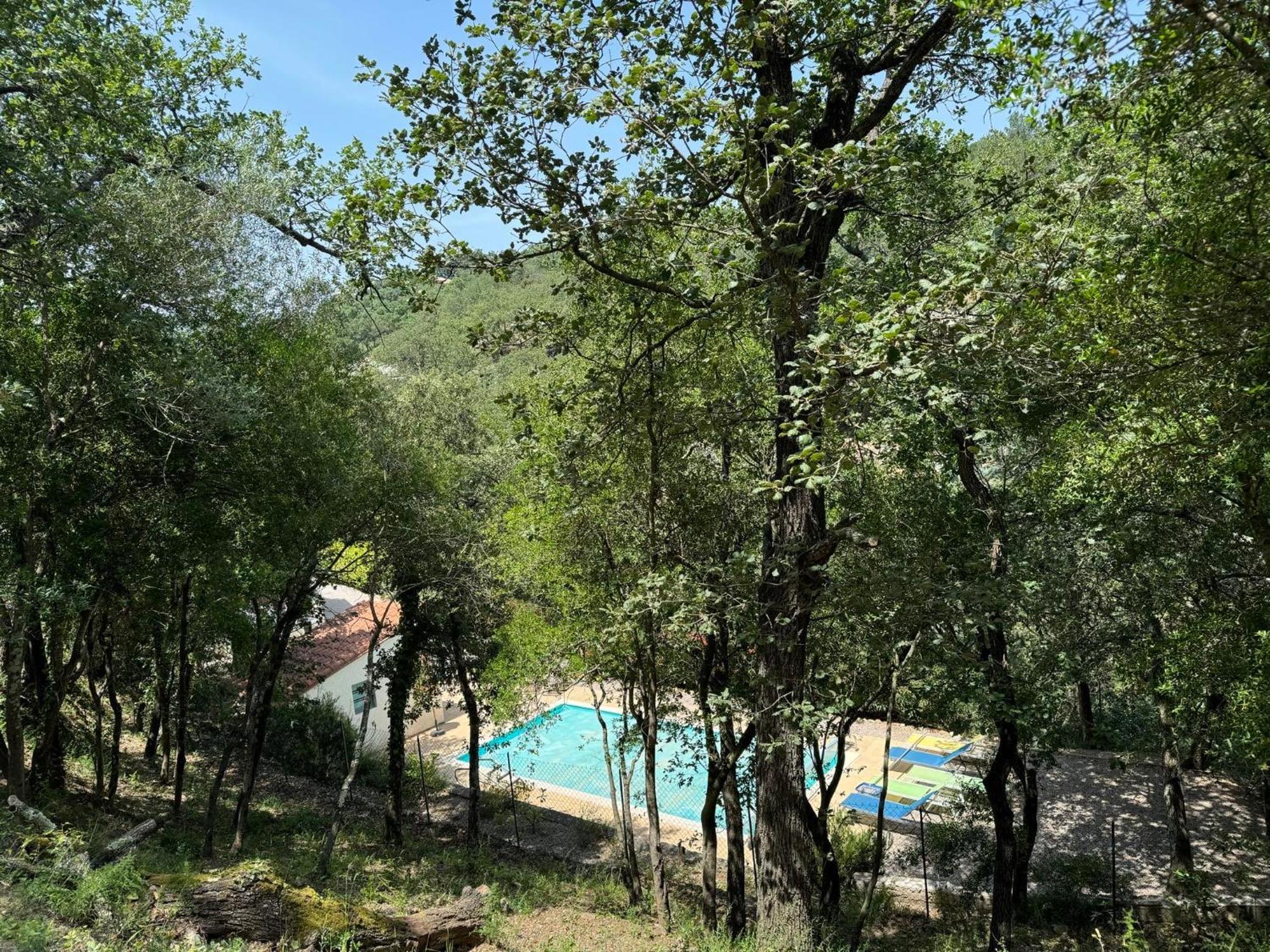 Maison Avec Piscine Chauffee Entre Mer Et Montagne Montauriol  Dış mekan fotoğraf